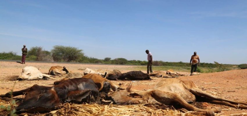 kenya-1200x624